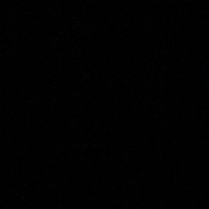 Meet your Posher, Elijah